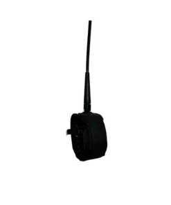 Leash Spicy Regular 7″ Black