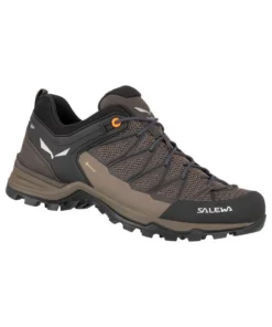 Zapatillas Salewa MS MTN Trainer Lite GTX Hombre Brown