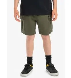 Pantalón Corto Cargo Quiksilver Youth Taxer Grape Leaf (8-16 años)