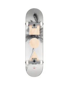 Skate Completo Globe G1 Stack 8.0″