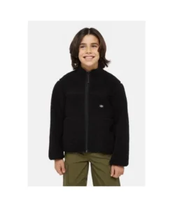 Sudadera Dickies Mount Hope Para Niños