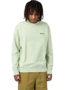 Sudadera Hombre Dickies Loretto Verde