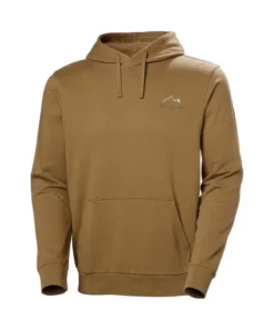 Sudadera Hombre Helly Hansen Massif Marrón