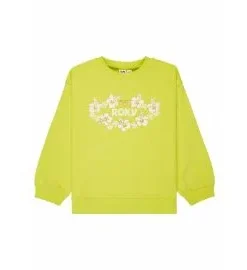 Sudadera Roxy Girl Morning Hike Terry Daiquiri Green (8-16 años)