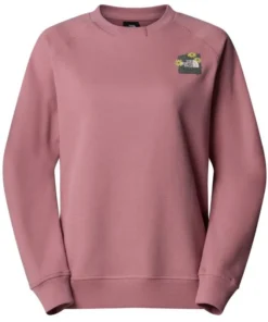 Sudadera holgada con estampado gráfico The North Face Connect Mujer Nostalgia Rose