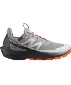 Zapatilla Hombre Salomon Elixir Ativ GTX Gris
